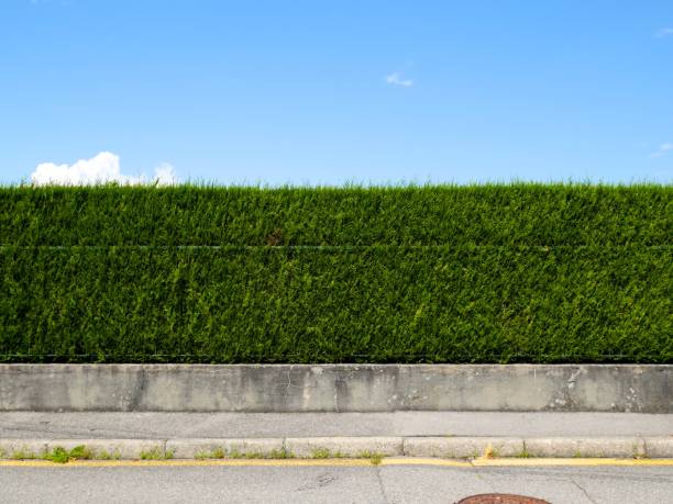 wall gardens melbourne